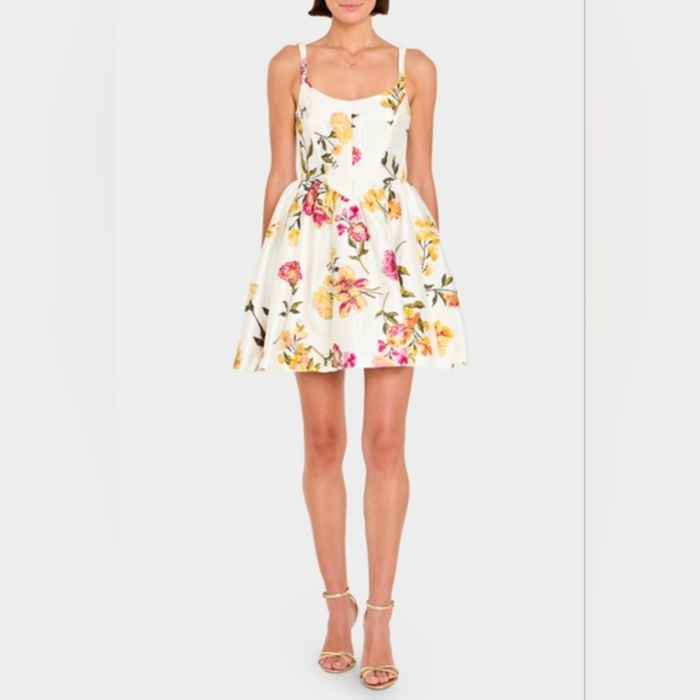 NEW Amanda Uprichard Mabel Princess Dress | Size Medium - Picture 3 of 13